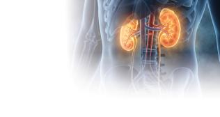 best urologist in noida
