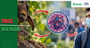 Shamonda Virus Spread Animals to Humans