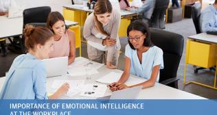 importance of emotional intelligence