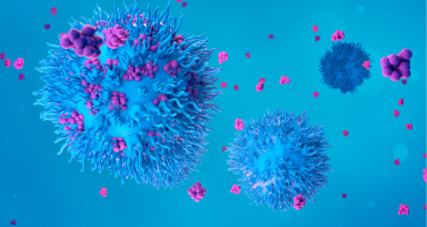 CAR T cell