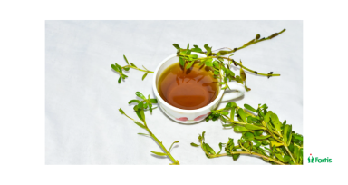 Top Health Benefits of Brahmi