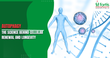 Autophagy