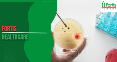  Stem Cell Transplant in Multiple Myeloma