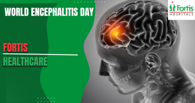 World Encephalitis Day