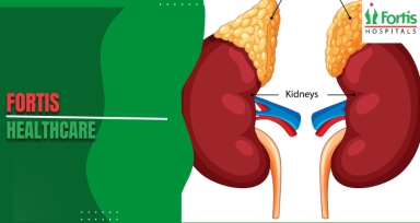 Healthy Kidneys 