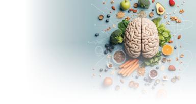 Healthy Brain