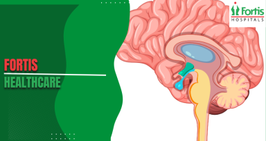 Olfactory Neuroblastoma Symptoms
