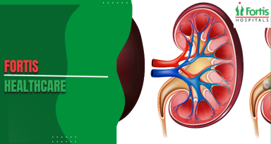 National Kidney Month