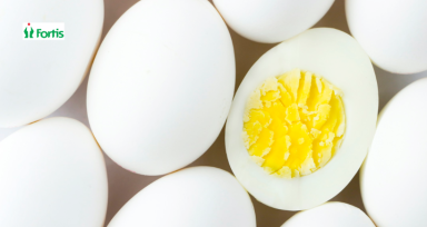 Egg White vs Egg Yolk 