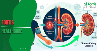 Chronic Kidney Disease 