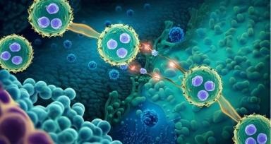 CAR-T for Solid Tumors 