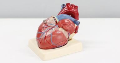 Advanced Heart Failure and Transplant Care in Chennai