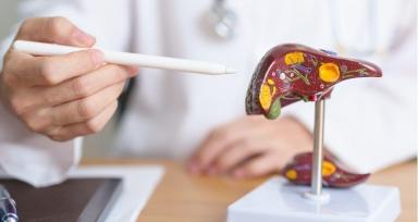 What to Watch Out For After a Child Liver Transplant