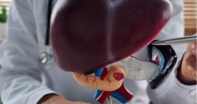 Why Many Patients with Liver Cancer Are Told They Are Inoperable
