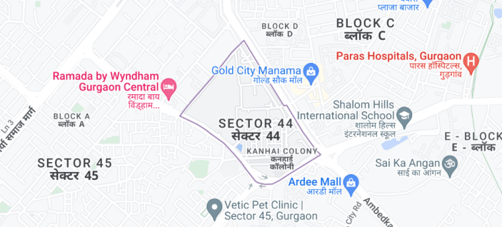 Fortis Gurgaon address 