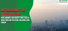 Air Pollution at the Molecular Level