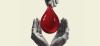 Blood transfusion