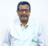 Dr. Nishi Nath  Jha